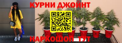 сатива Первоуральск