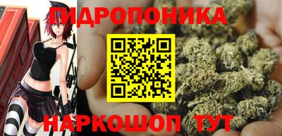 тгк Пенза