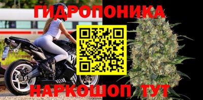тгк Пенза