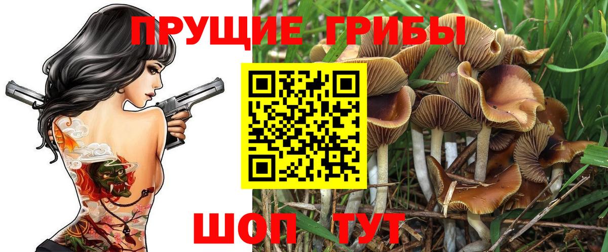 Галлюциногенные грибы мухоморы Тайшет